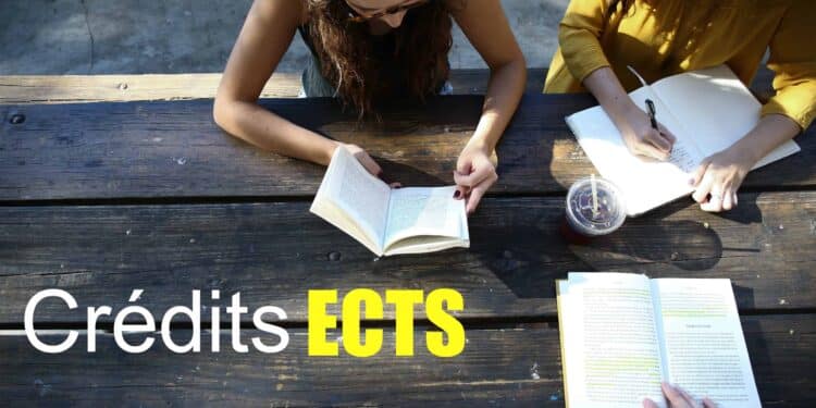 A la découverte du processus de Bologne