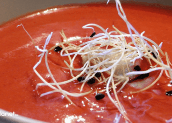 Gaspacho andalou