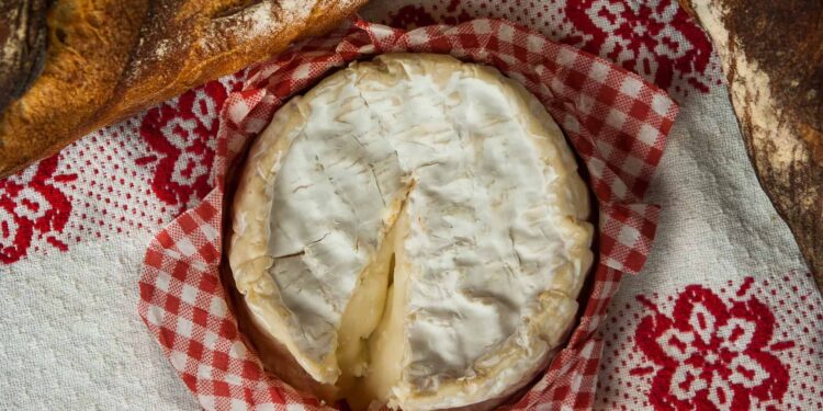 Camembert au four