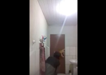 VIDEO : Quand une chasse au rat ne se passe pas comme prévu…