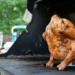 Poulet à la bière, assis sur sa cannette !