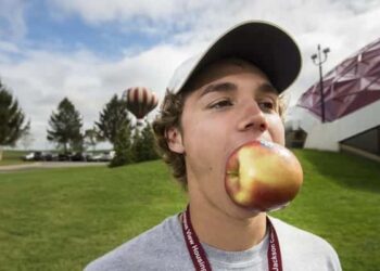 Les pommes de Dany Hartman