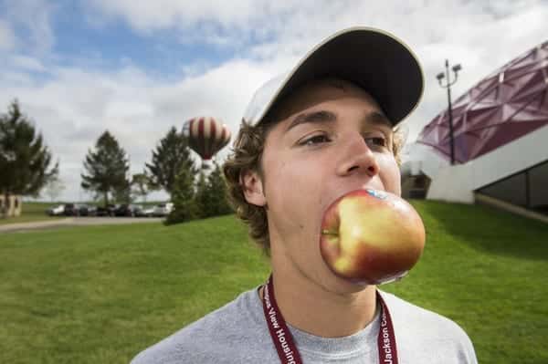 Les pommes de Dany Hartman