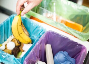 7 astuces pour réduire ses déchets