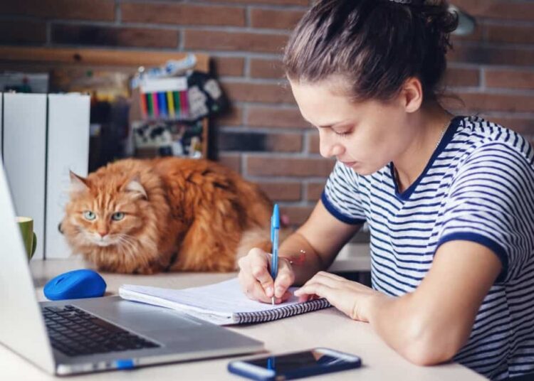 jeune fille écrit concilier travail et études