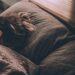 Comment bien dormir quand on est étudiant