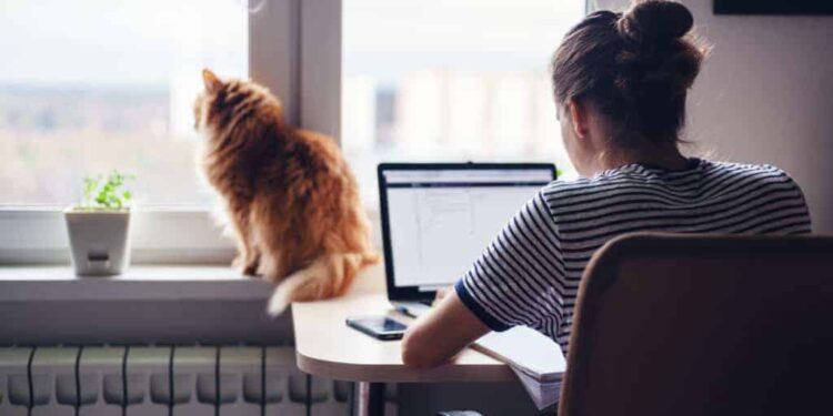 12 conseils pour bien réussir son mémoire de fin d’études