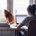 12 conseils pour bien réussir son mémoire de fin d’études