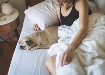 Femmes dorment mieux avec leur chien