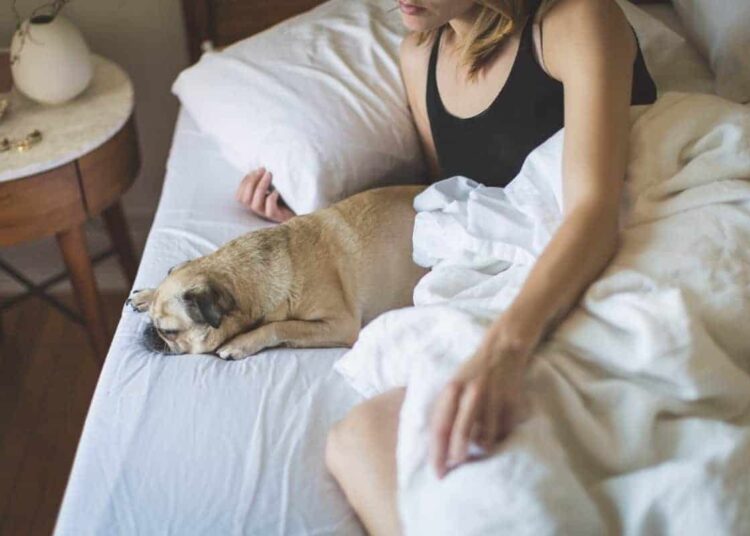 Femmes dorment mieux avec leur chien