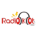 Kot à Projet Radiokot
