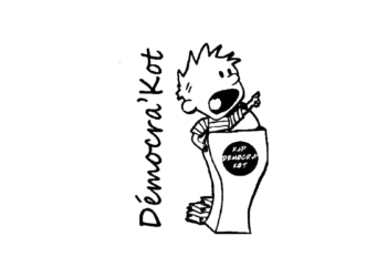 Kot à Projet Démocra'Kot
