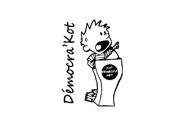 Kot à Projet Démocra'Kot