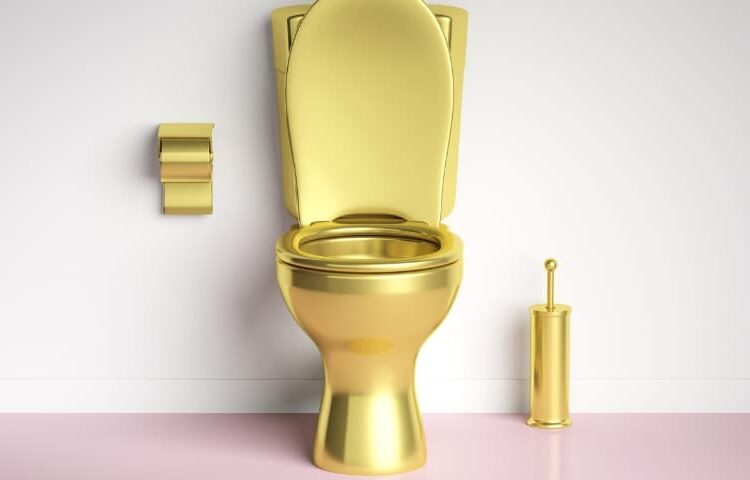 Pourquoi un étudiant reste longtemps aux toilettes