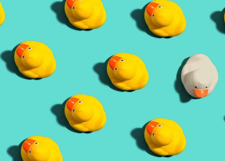 Top 10 des objets insolites qu’il faut absolument cette année