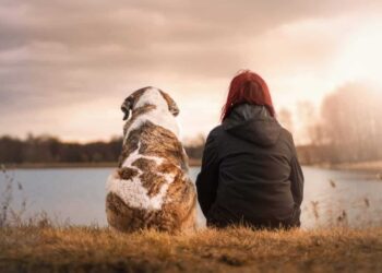 Les bienfaits des animaux domestiques sur notre santé