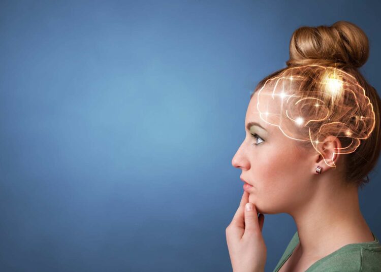 Choses à savoir pour comprendre son cerveau