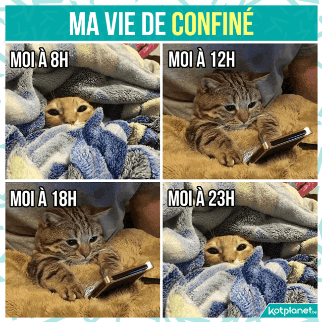 Ma vie de confiné au lit