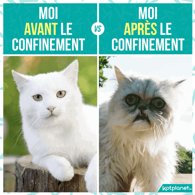 Moi avant le confinement vs Moi après