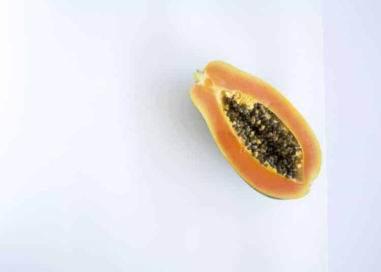 clitoris fruit