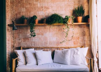 canapé coussin plante indispensable jardin d'intérieur