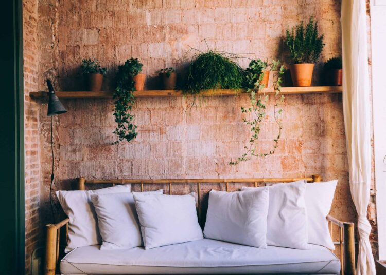 canapé coussin plante indispensable jardin d'intérieur