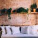 canapé coussin plante indispensable jardin d'intérieur
