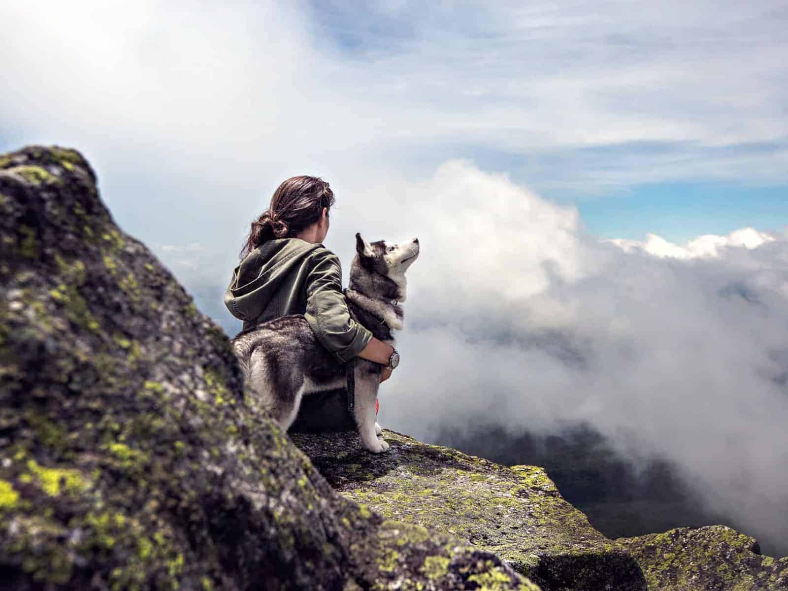 7 Raisons De Preferer Les Chiens Aux Chats Match Ko 7 Raisons De Preferer Les Chiens Aux Chats Match Ko