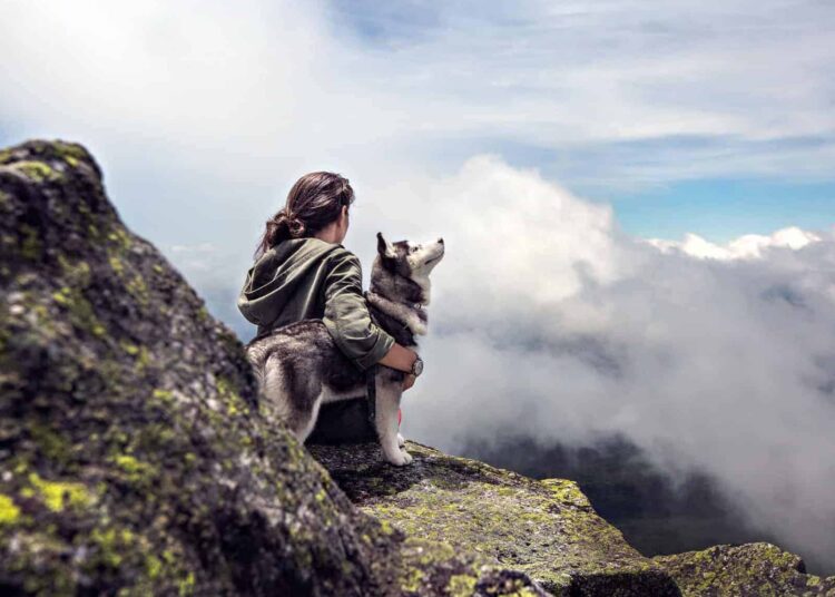 Top 7 des raisons de préférer les chiens aux chats