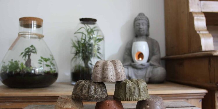 etudiant entrepreneur belge Akalpita