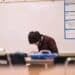 garçon etudie examens actus fin qcm points négatifs
