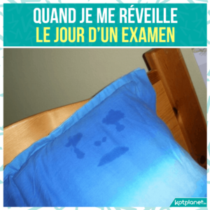 Quand je me reveille le jour examen