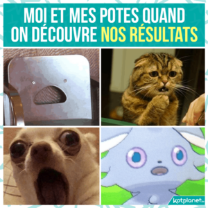 decouvre resultats