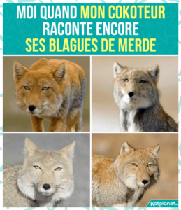 Blague lourde coloc