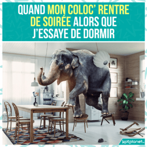 Coloc qui rentre de soiree