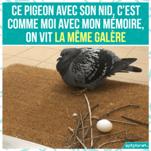 Galere d'ecrire un memoire