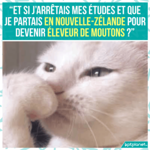 meme et si j abandonnais tout