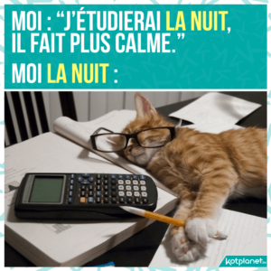 meme etudier la nuit c est plus calme
