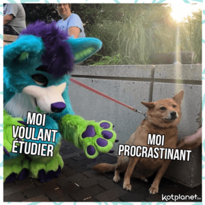 meme moi qui veux etudier moi qui procrastine
