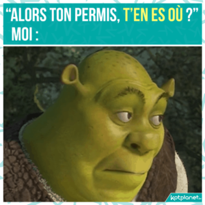 meme tu devais pas passer permis