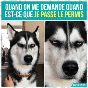 meme tu passes quand le permis