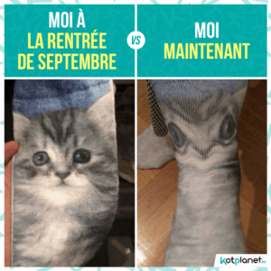 meme moi en septembre vs moi maintenant