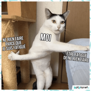 meme moi fatigue de ne rien faire