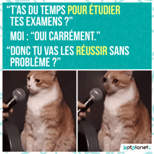 meme tu vas reussir tes examens tu as du temps