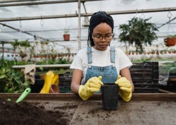 pexels-tima-miroshnichenko-etudiante qui jardine -Top 5 des jobs manuels