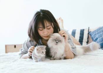pexels-tranmautritam-étudiante qui caresse ses chats - Top 5 des accessoires pour animaux