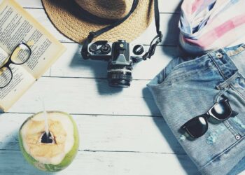 pixabay veerasantinithi - accessoires de vacances - je n'aime pas partir en vacances et alors
