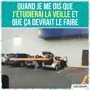 meme etudier la veille