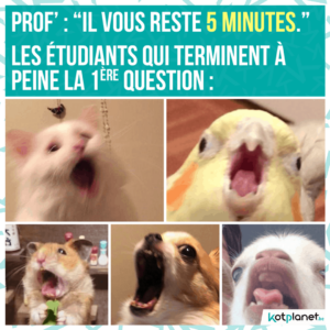 meme vous reste 5 minutes