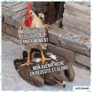 meme reve de reussite